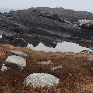 Meet your Posher, Todd